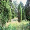 images/Schweden/Schweden 2009/IMG_4395.jpg